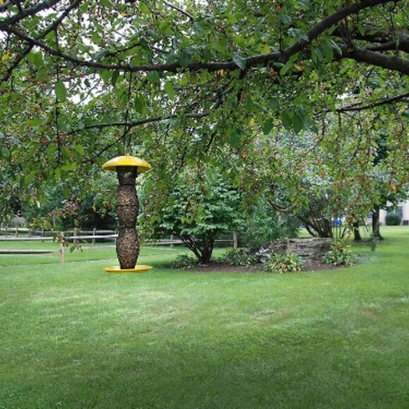 Perky-Pet Yellow & Black Finch Tube Wild Bird Feeder - Picture 3 of 6